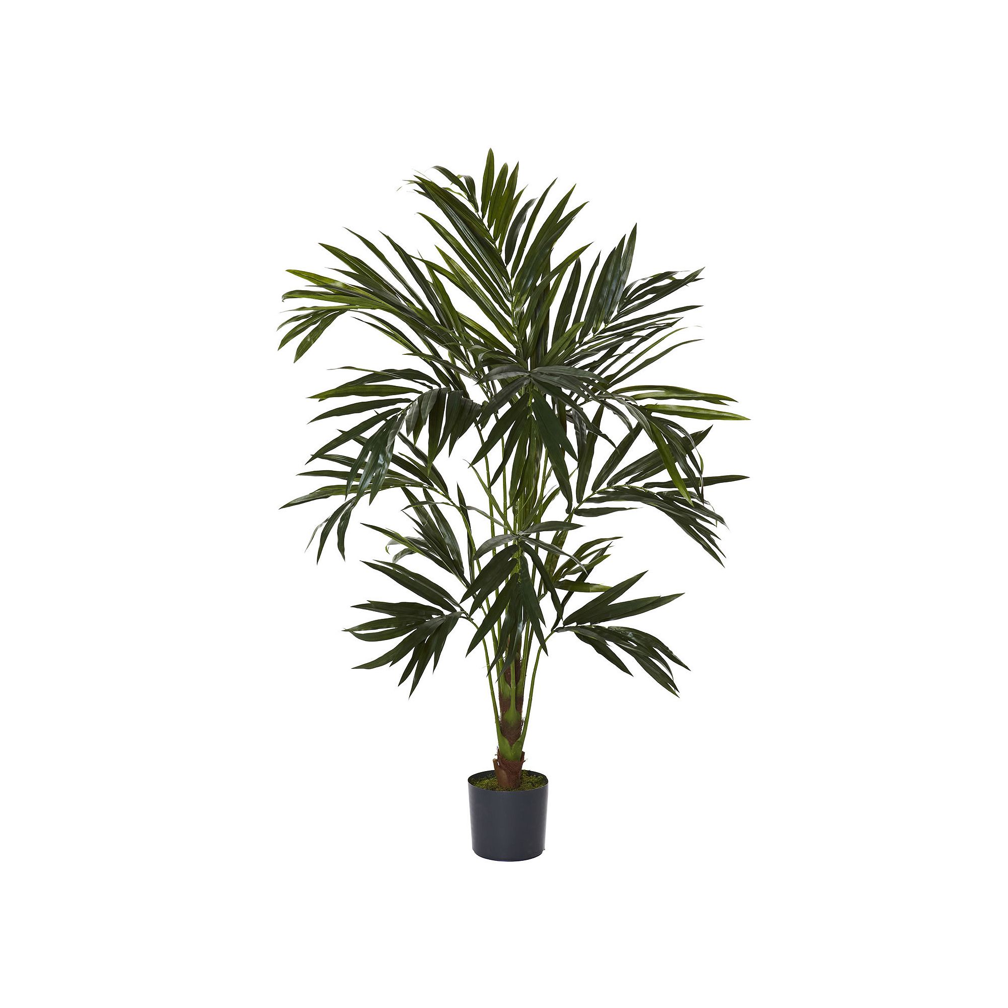 nearly natural Silk 6-ft. Kentia Tree, Green