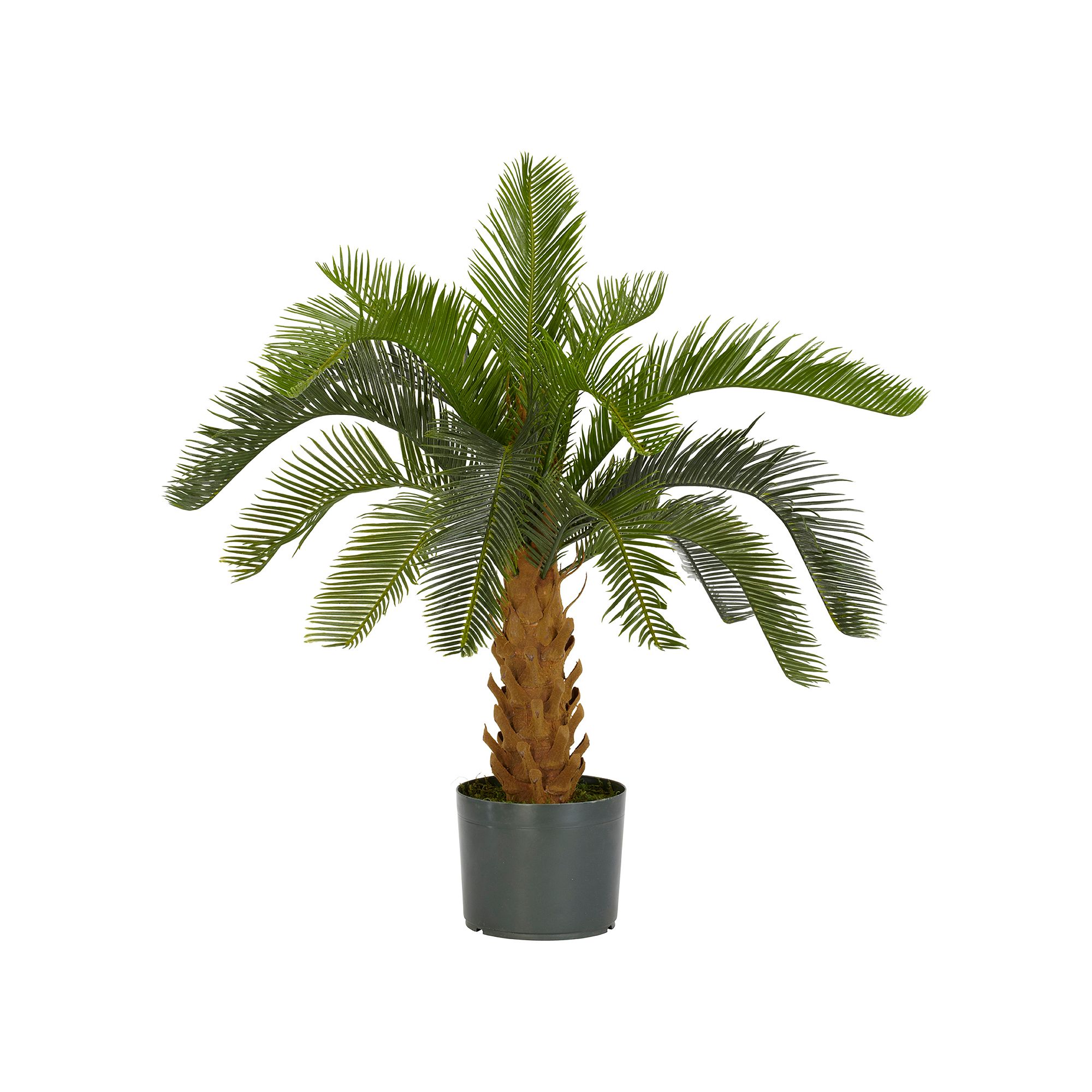 nearly natural Silk Cycas Plant in a Planter, Green