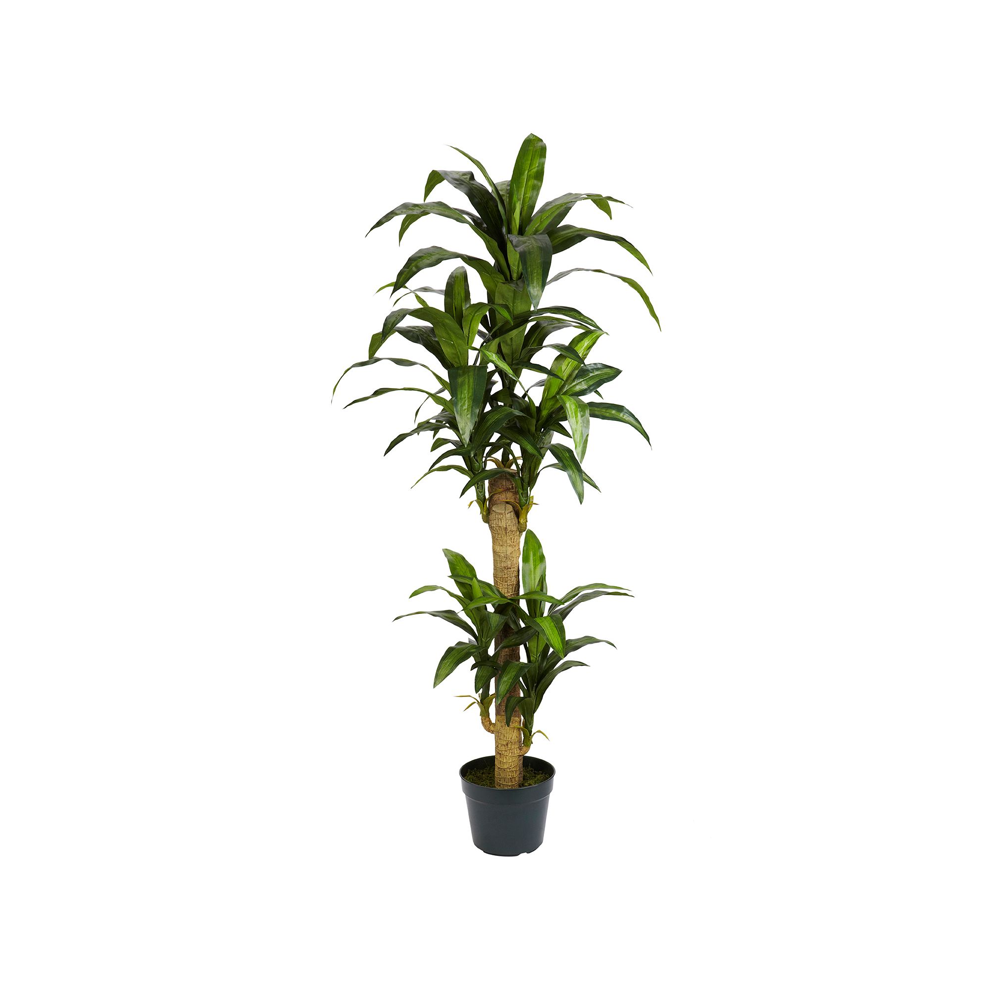 nearly natural Silk 5-ft. Yucca Plant, Green
