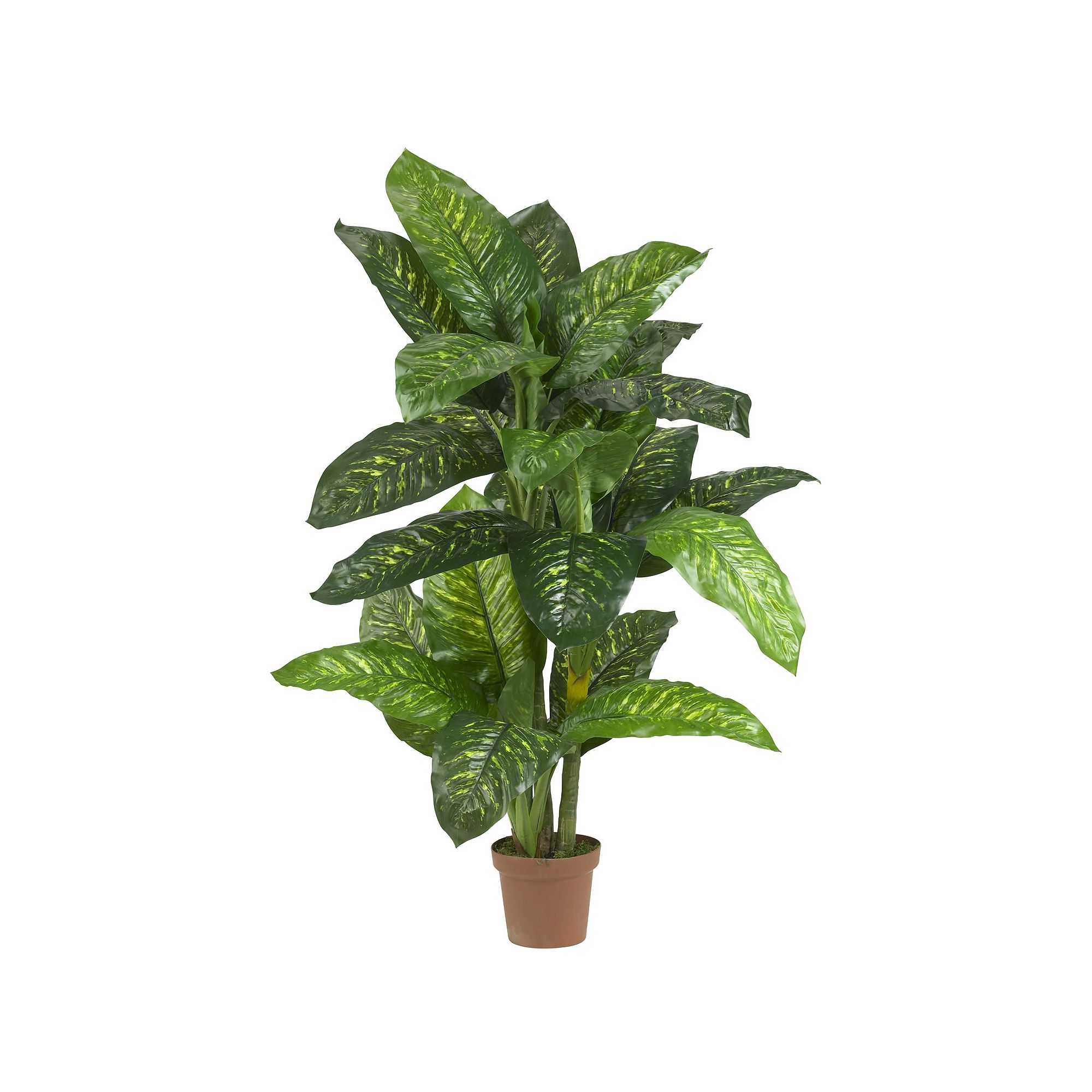 nearly natural Silk 5-ft. Dieffenbachia Plant, Green