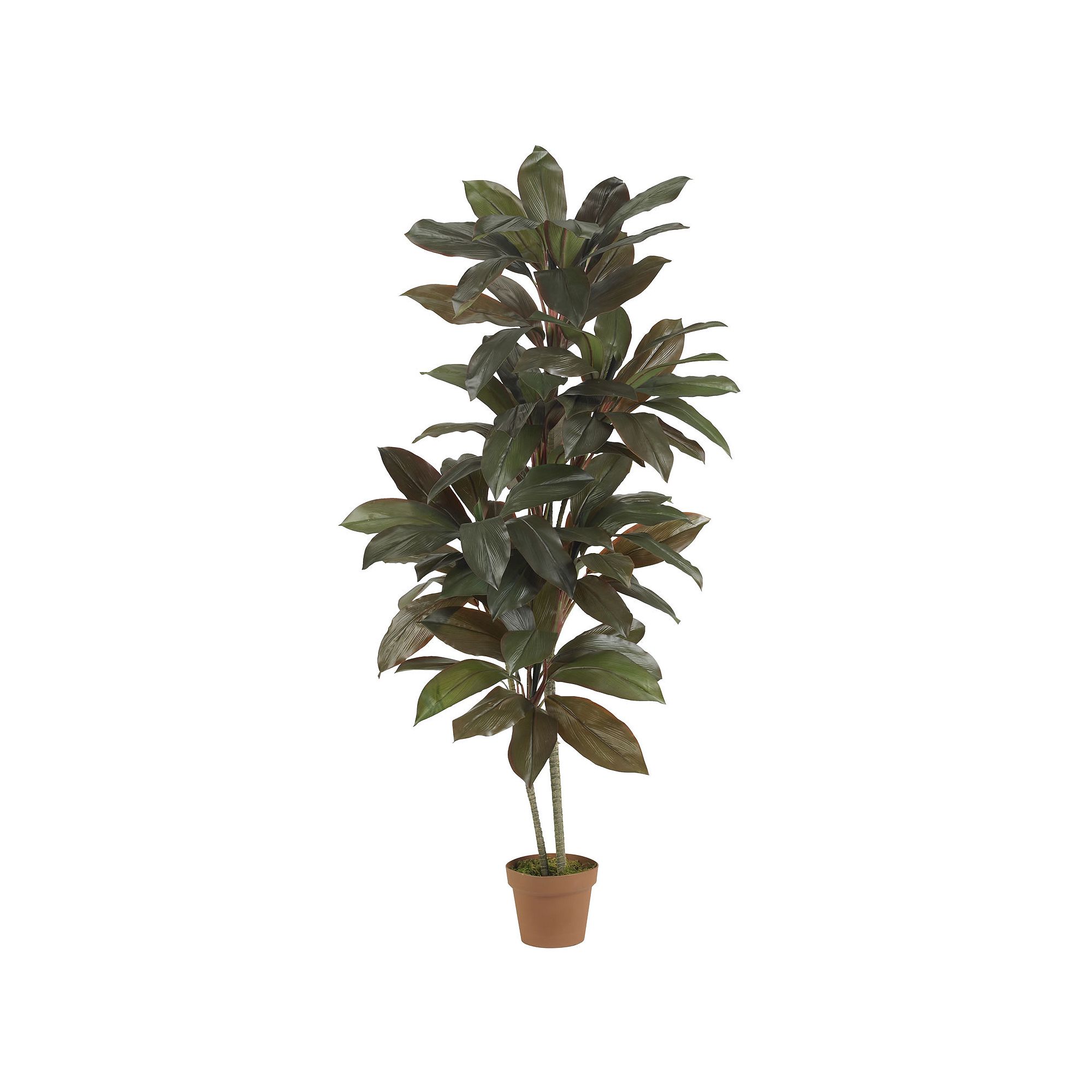 nearly natural Silk 5-ft. Cordyline Plant, Green
