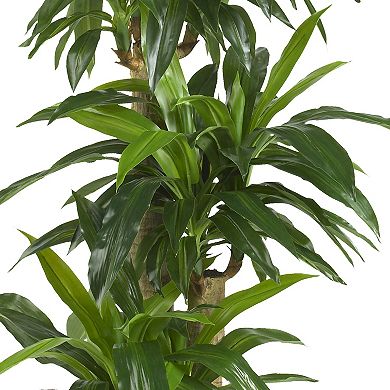 nearly natural Silk Corn Stalk Dranaena Plant