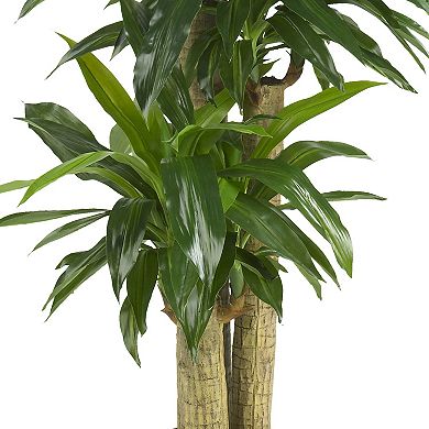 nearly natural Silk Corn Stalk Dranaena Plant