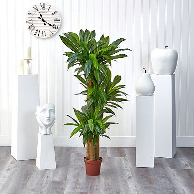 nearly natural Silk Corn Stalk Dranaena Plant