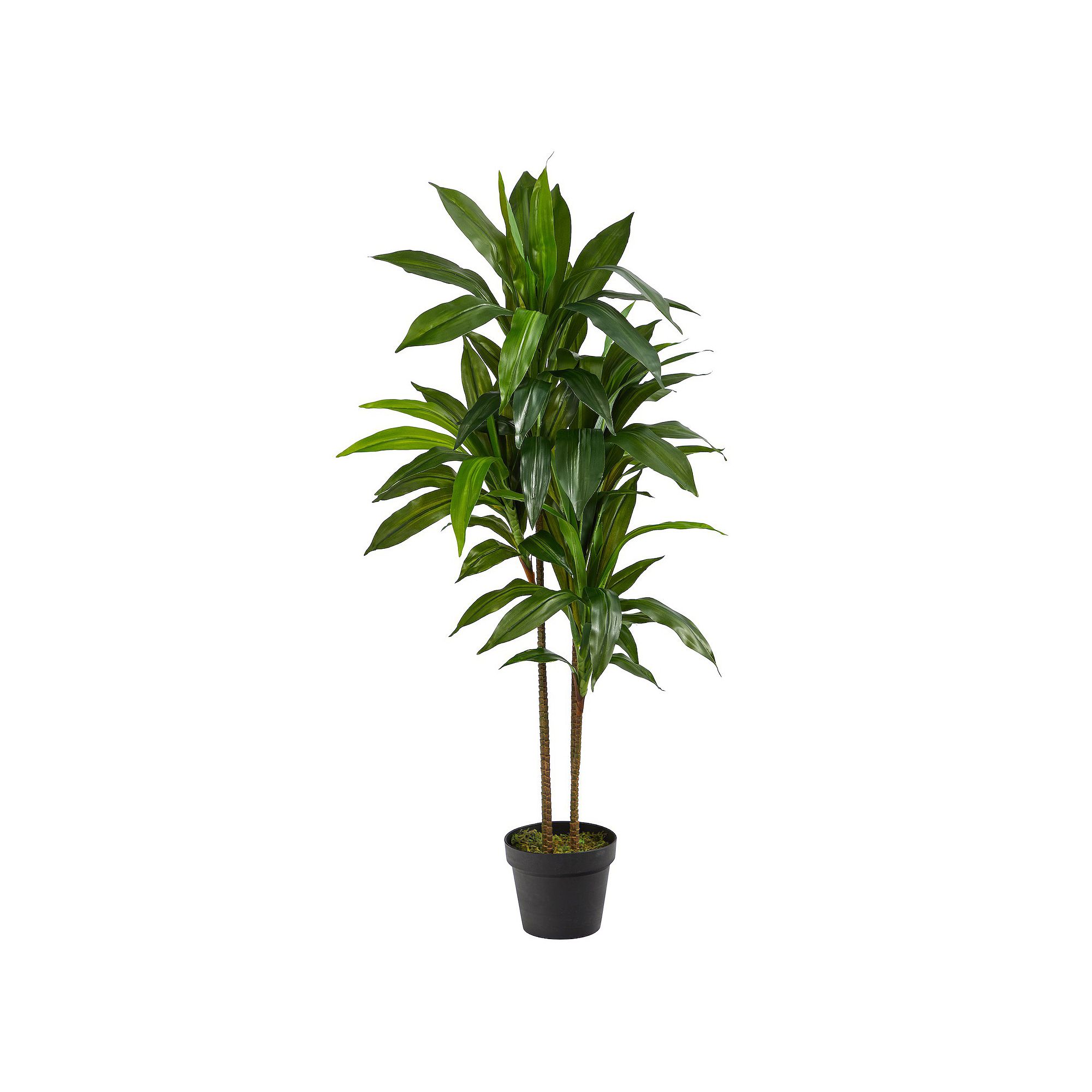 nearly natural Silk 48-in. Dracaena Plant, Green