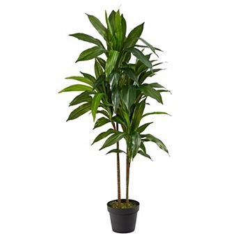 nearly natural Silk 48 in Dracaena Plant