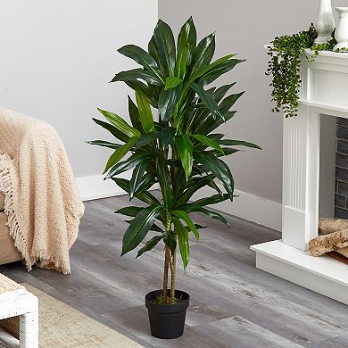 nearly natural Silk 48-in. Dracaena Plant