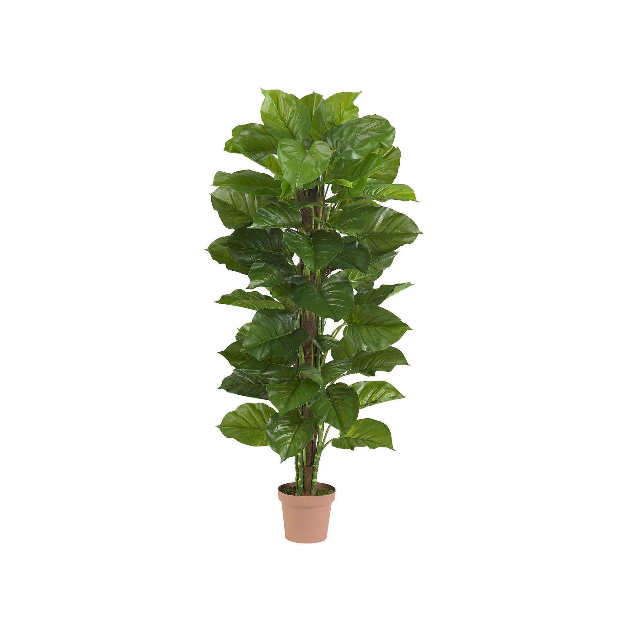 nearly natural Silk 63-in. Large Leaf Philodendron Plant, Green