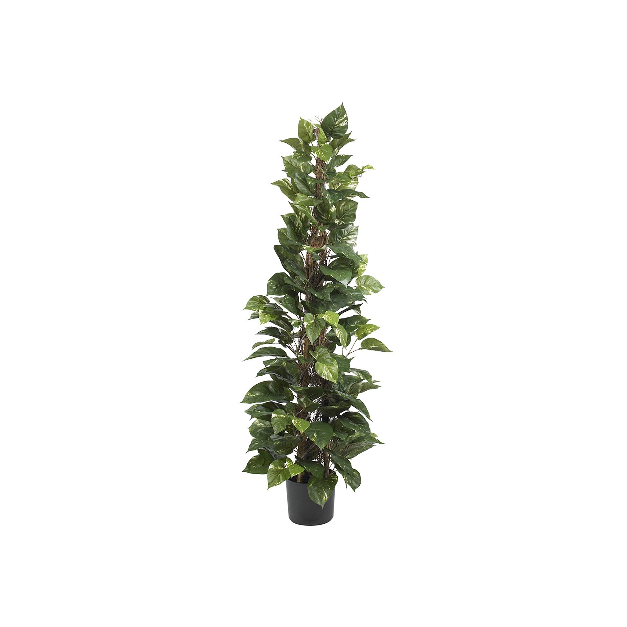 nearly natural Silk 63-in. Pothos Climbing Plant, Green