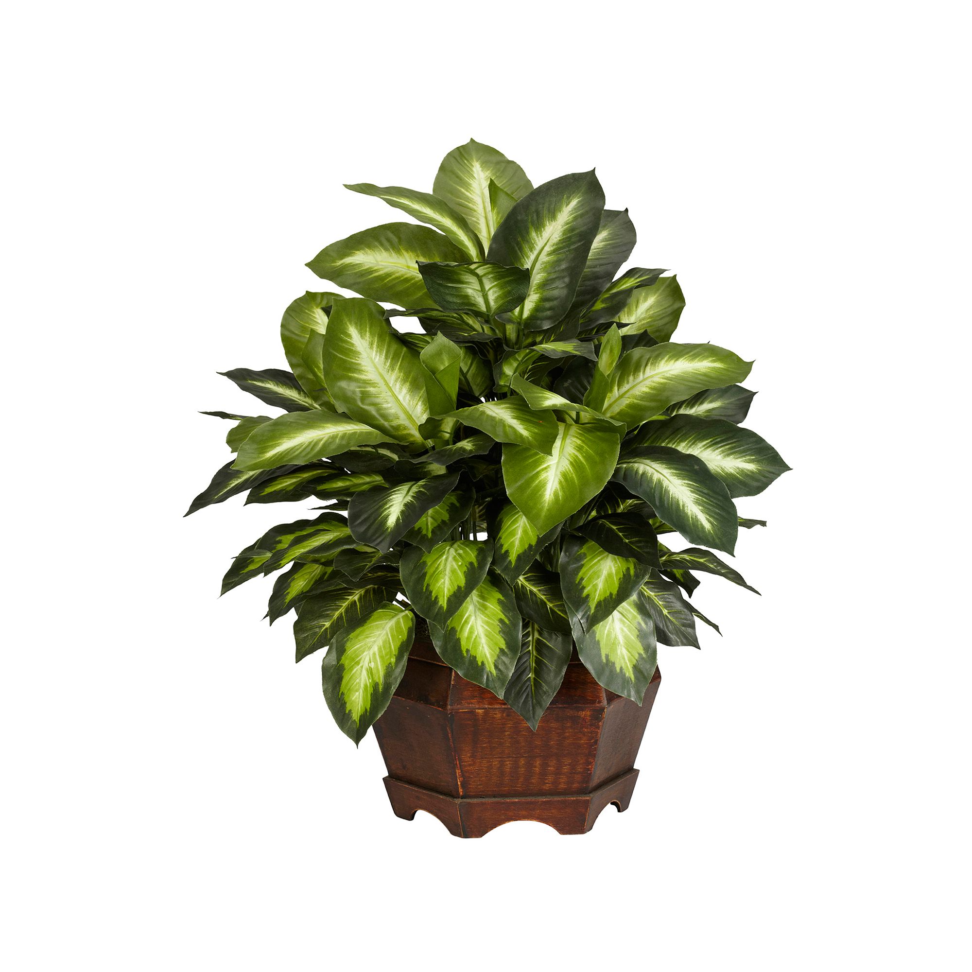 nearly natural Silk Golden Dieffenbachia Plant in a Wooden Hexagonal Plante