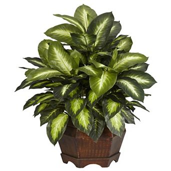nearly natural Silk Golden Dieffenbachia Plant in a Wooden Hexagonal Planter