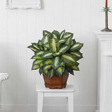 nearly natural Silk Golden Dieffenbachia Plant in a Wooden Hexagonal Planter