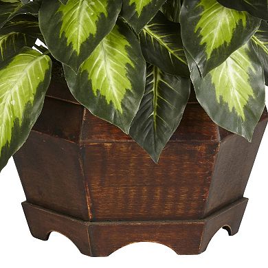 nearly natural Silk Golden Dieffenbachia Plant in a Wooden Hexagonal Planter