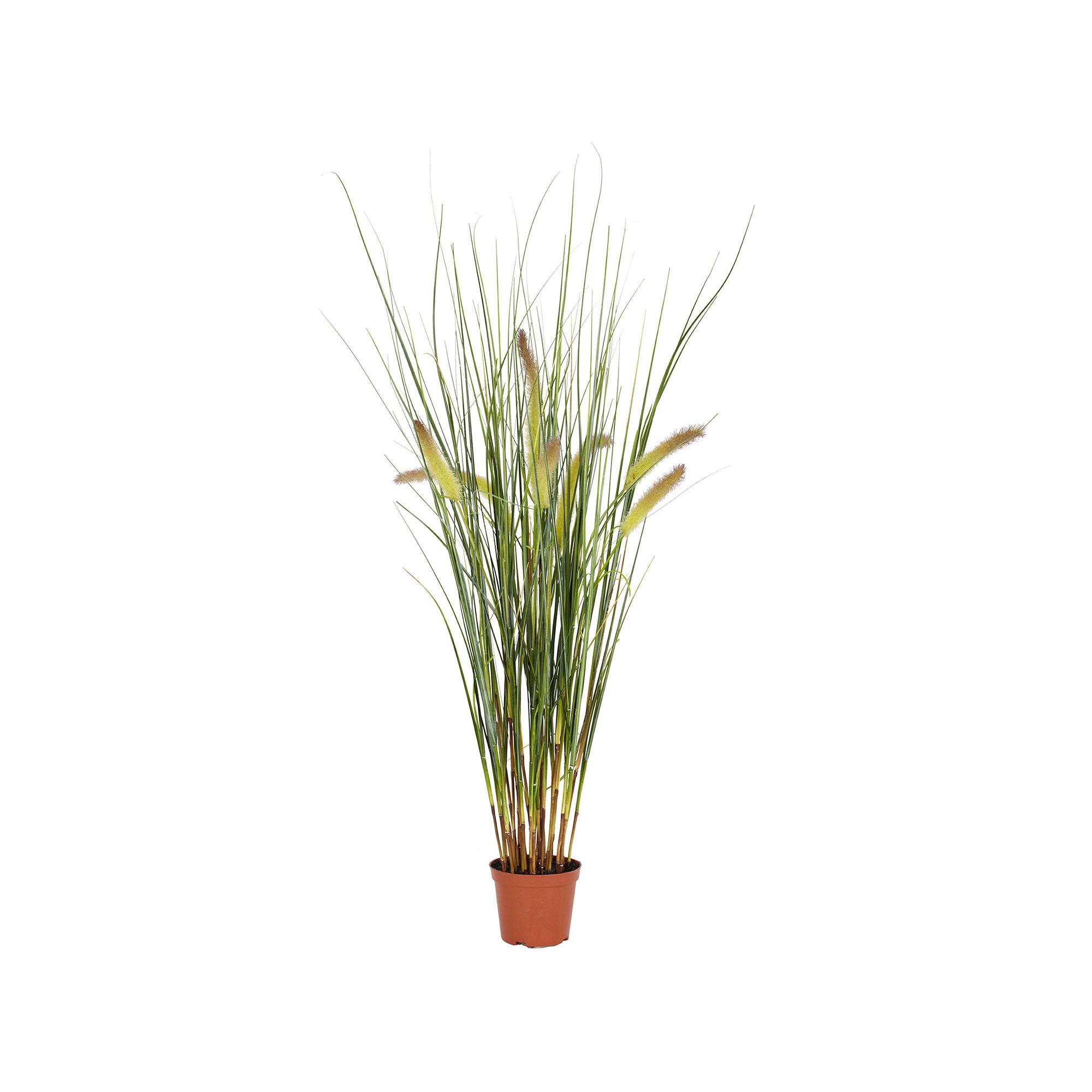 nearly natural Artificial 2 1/2-ft. Grass Plant, Green