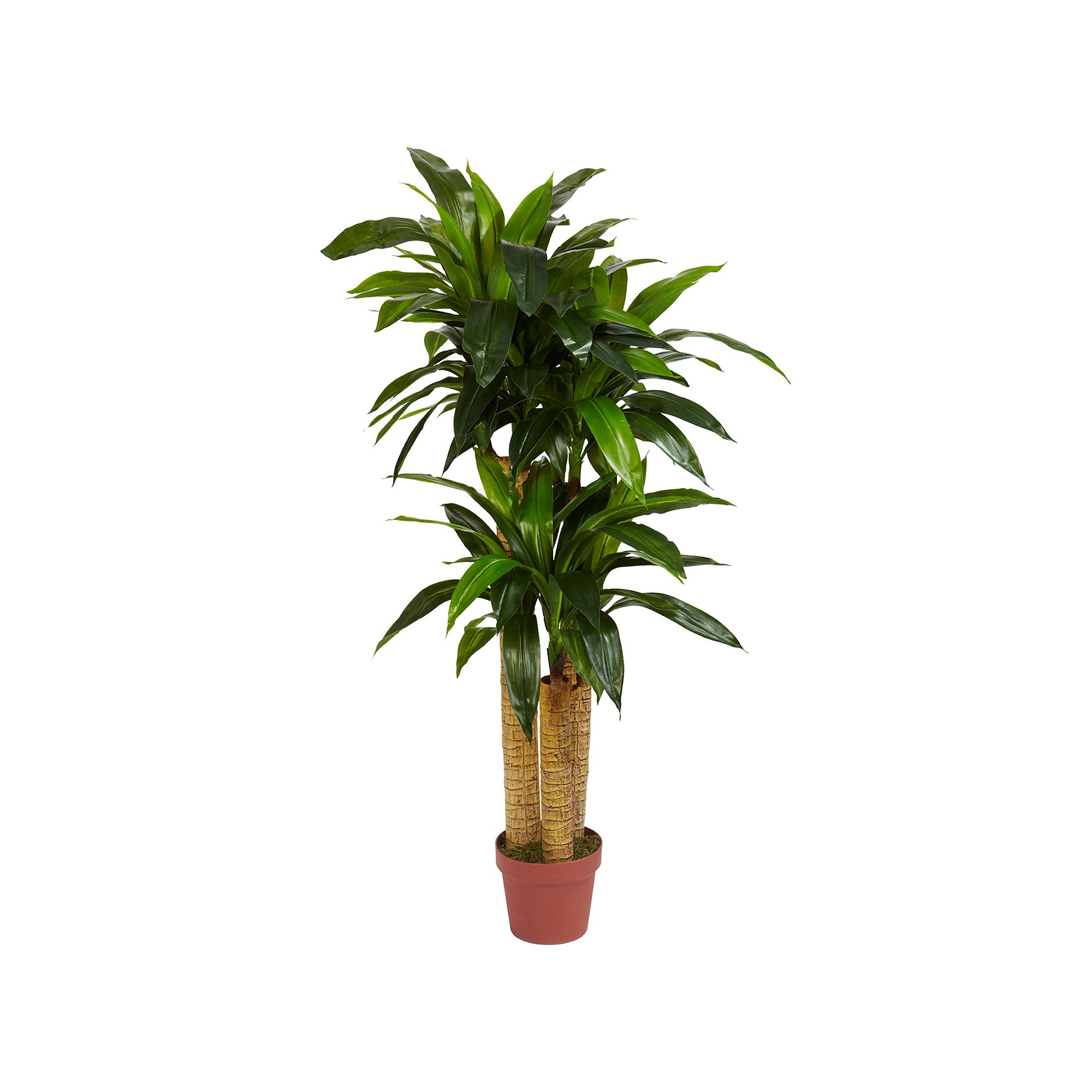 nearly natural Silk 4-ft. Corn Stalk Dracaena Plant, Green