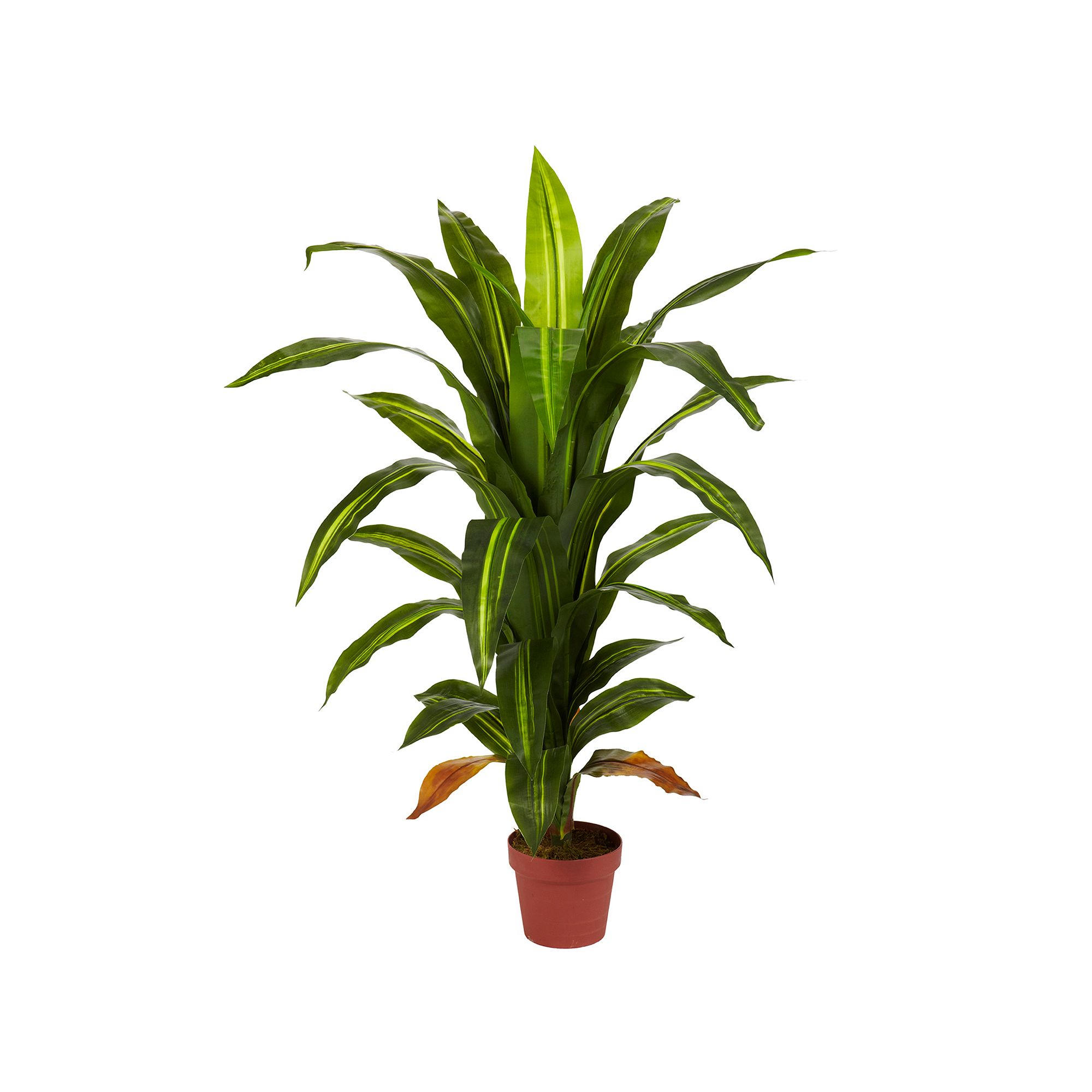 nearly natural Silk 4-ft. Dracaena Plant, Green