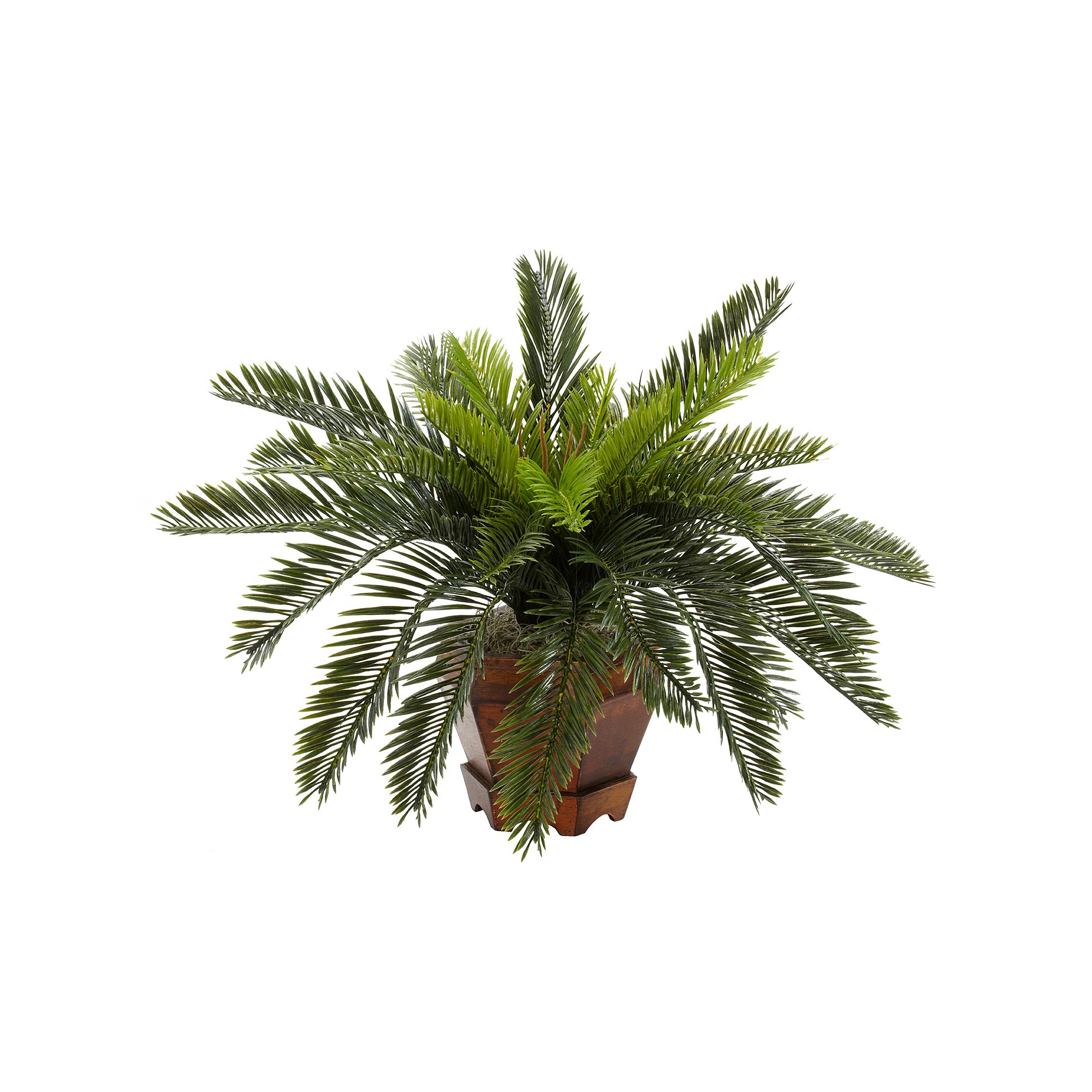 nearly natural Silk Cycas Plant in a Hexagonal Vase, Green