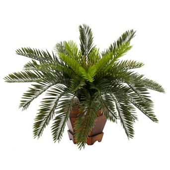 nearly natural Silk Cycas Plant in a Hexagonal Vase