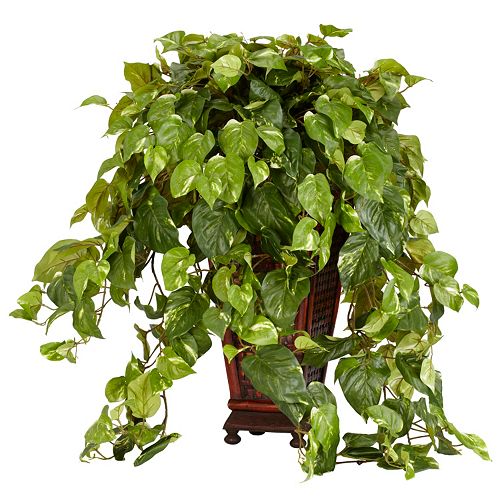 nearly natural Silk Vining Pothos Plant