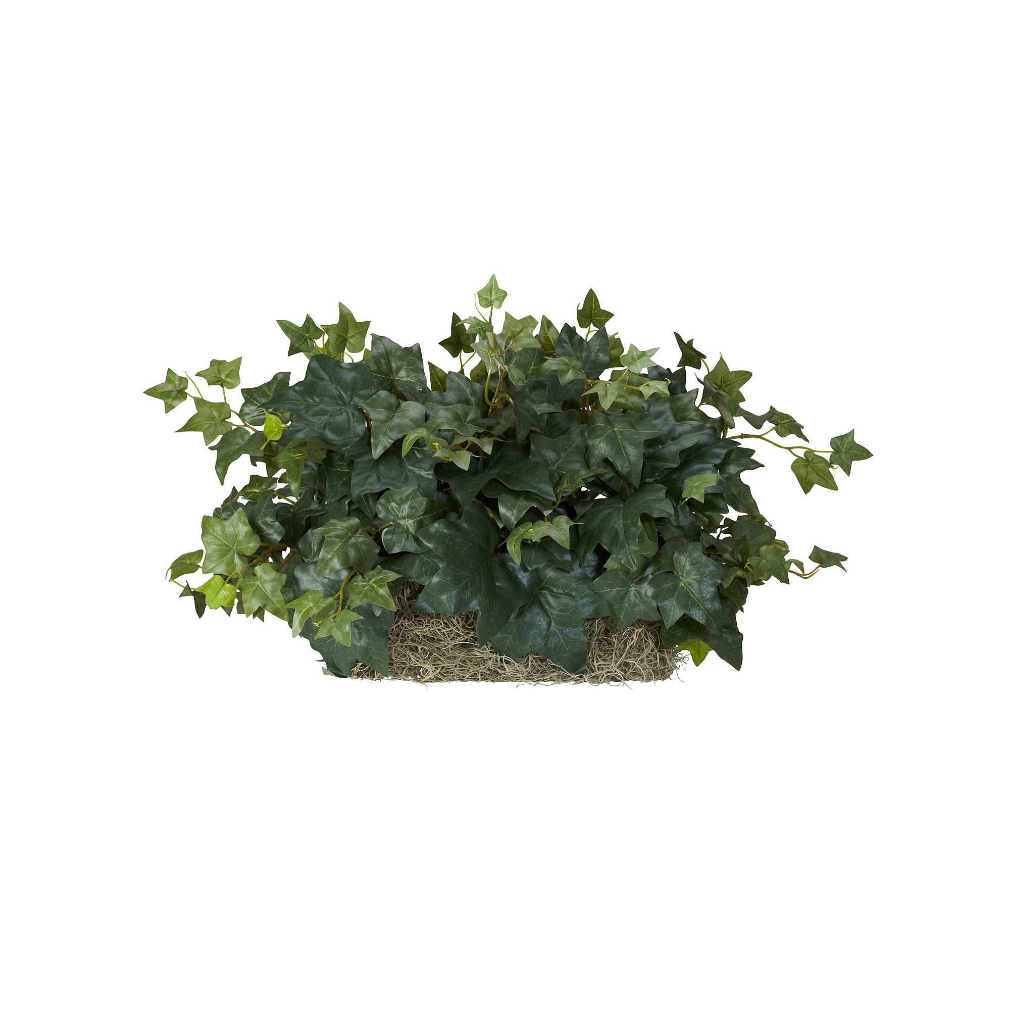 nearly natural Silk Ivy Ledge Plant, Green