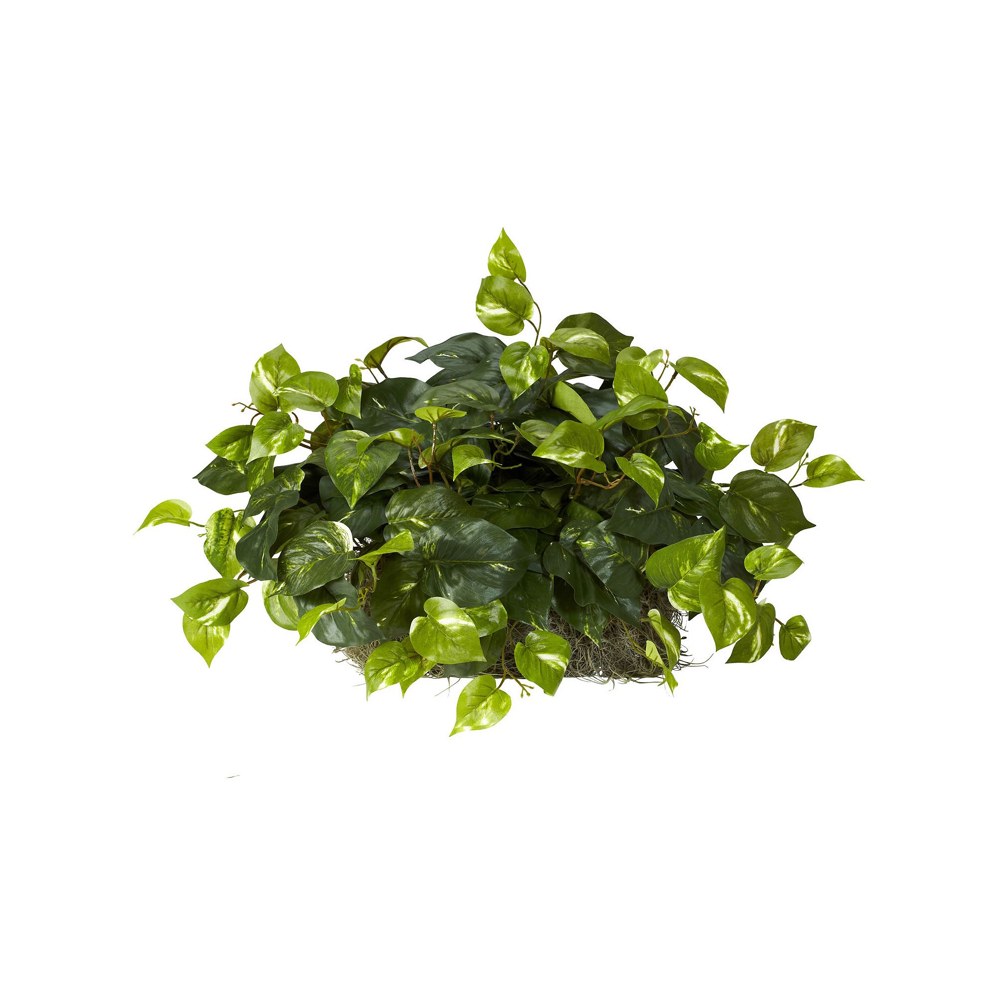 nearly natural Silk Pothos Plant, Green