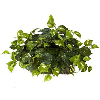 nearly natural Silk Pothos Plant