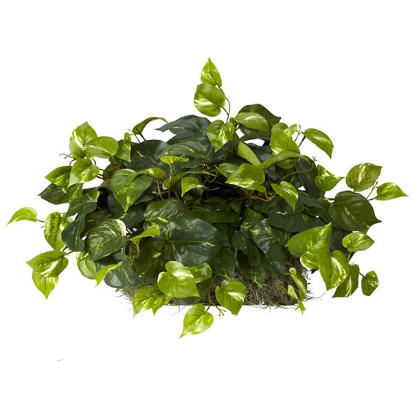 nearly natural Silk Pothos Plant