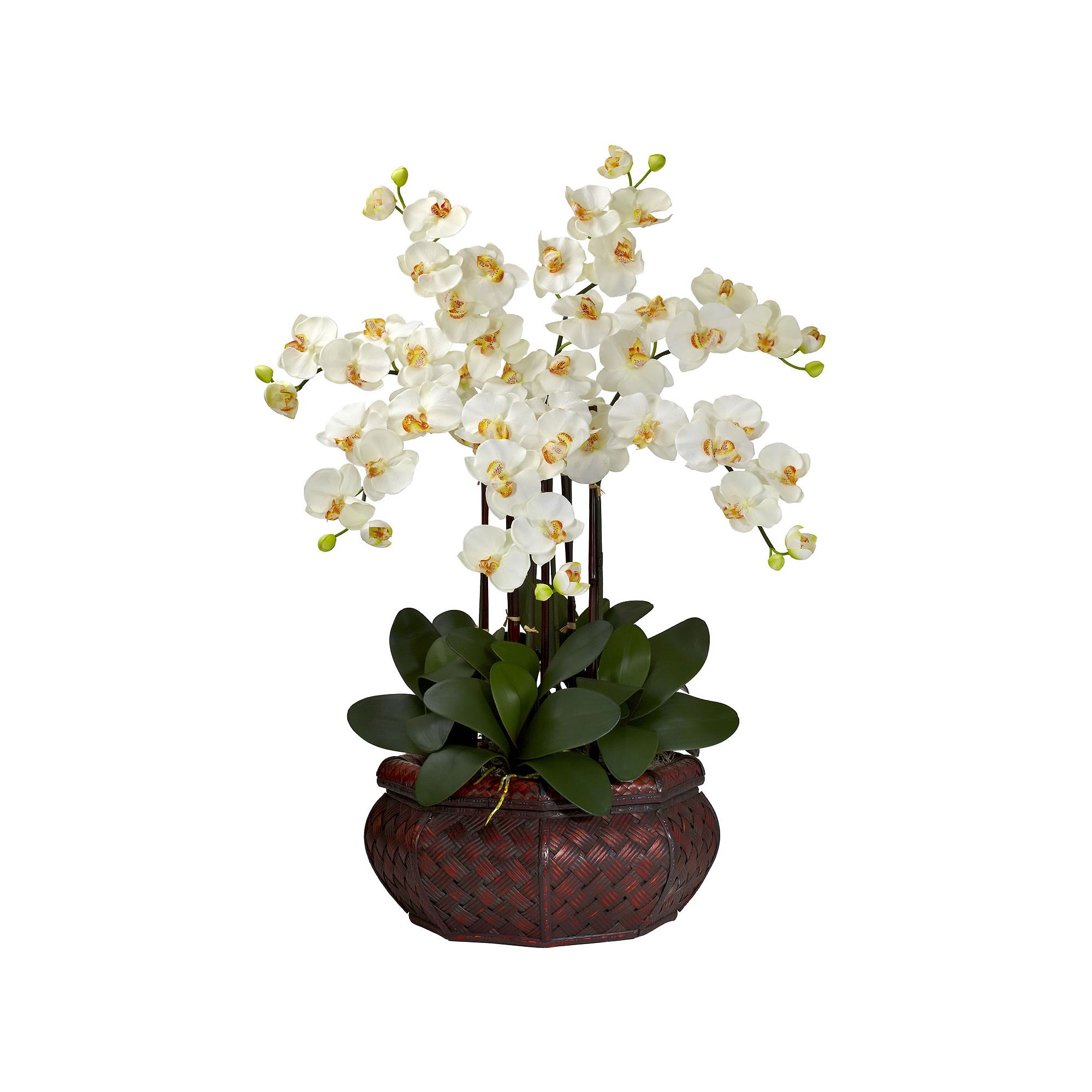 nearly natural Silk Phalaenopsis Large Floral Arrangement, Ivory
