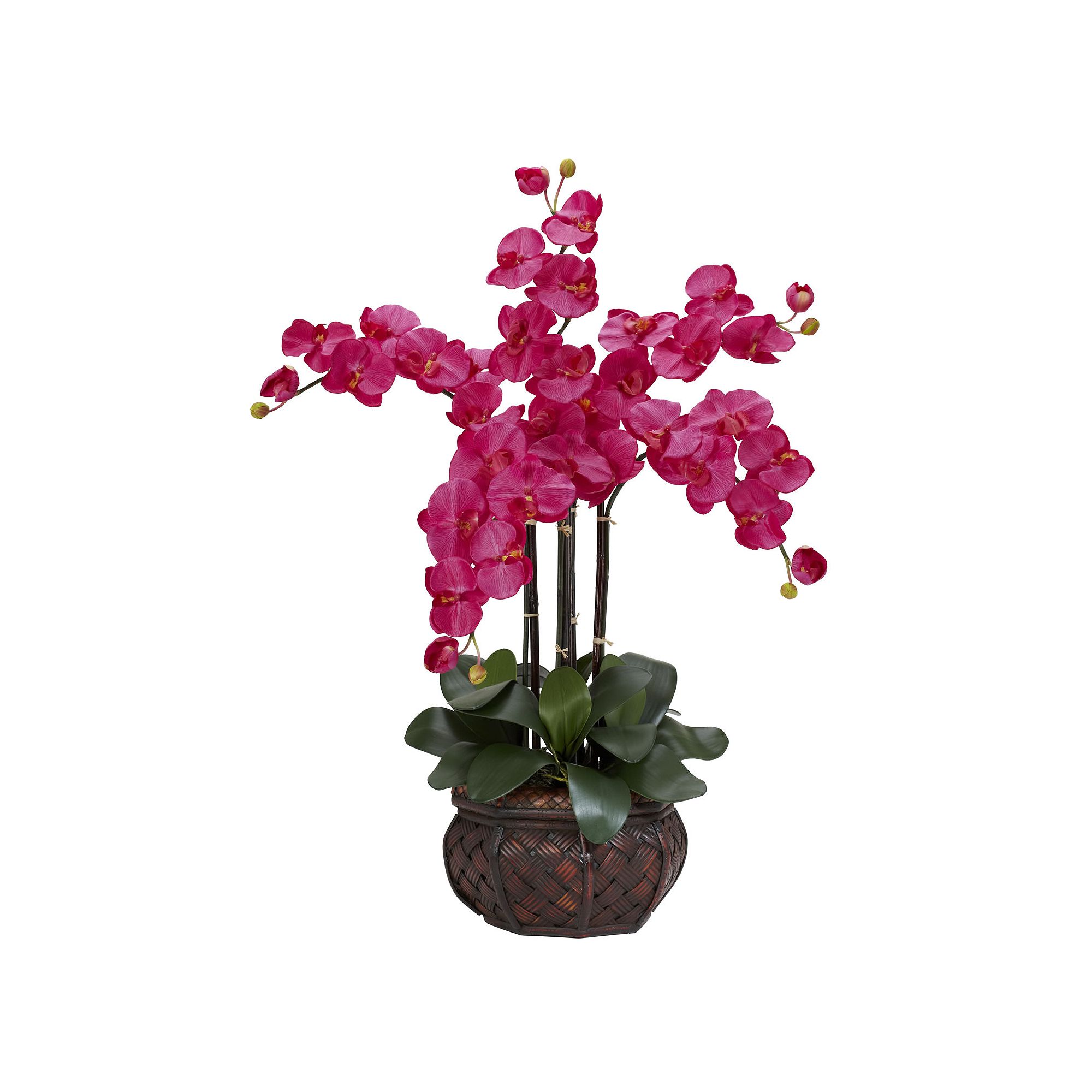 nearly natural Silk Phalaenopsis Floral Arrangement, Beauty
