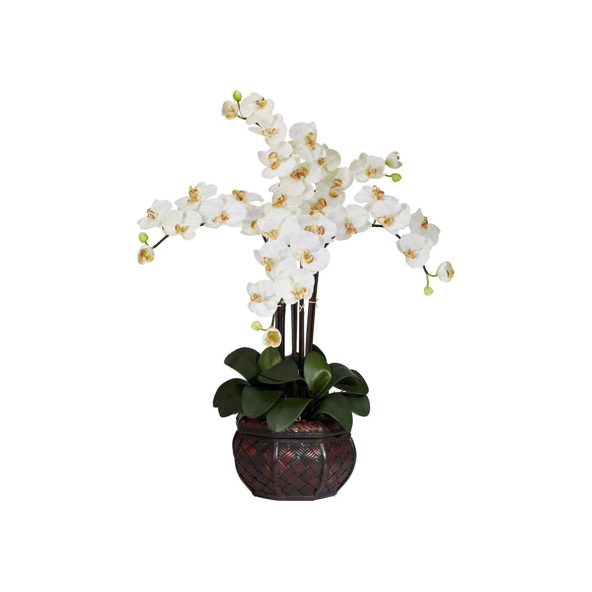 nearly natural Silk Phalaenopsis Floral Arrangement, Ivory