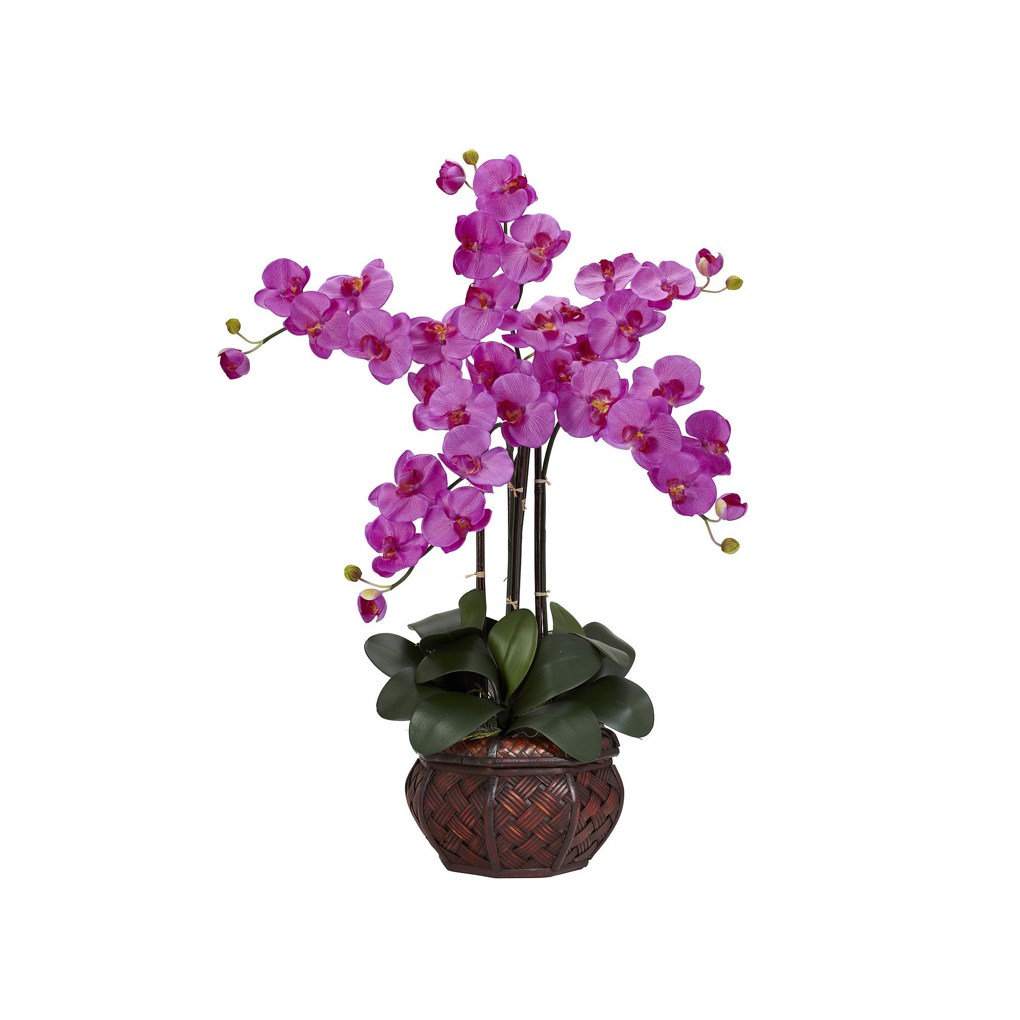 nearly natural Silk Phalaenopsis Floral Arrangement, Orchid