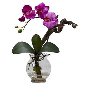 nearly natural Liquid Illusion Silk Phalaenopsis Floral Arrangement