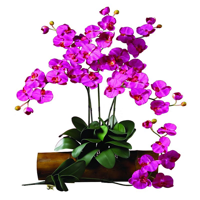 nearly natural 12-pc. Silk Phalaenopsis Stem Set, Multicolor Vibrant colors and lifelike textures add realism. Tall stems make a versatile decorative accent. Convenient twelve-pack provides numerous options. 12-piece set 31 1/2-in. height (each) Polyester/iron wire Wipe clean  Size: One Size. Color: Multicolor. Gender: unisex. Age Group: adult. Material: silk.