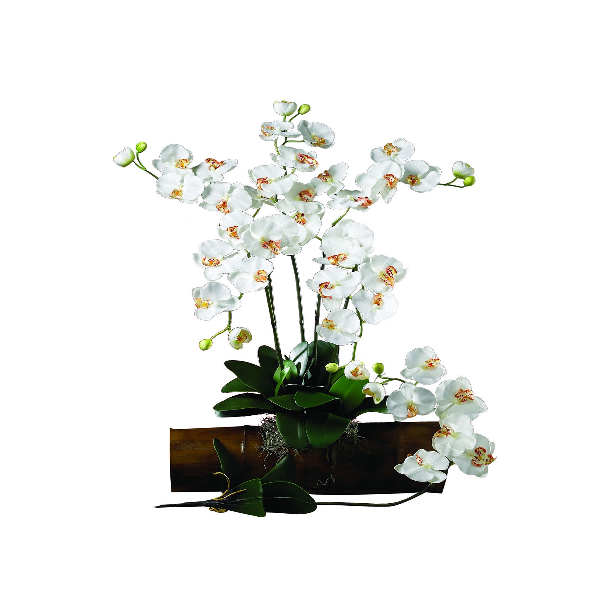 nearly natural 12-pc. Silk Phalaenopsis Stem Set, Ivory