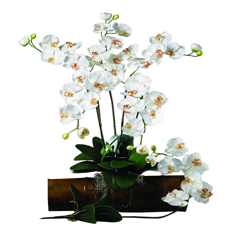 nearly natural 12-pc. Silk Phalaenopsis Stem Set, White Vibrant colors and lifelike textures add realism. Tall stems make a versatile decorative accent. Convenient twelve-pack provides numerous options. 12-piece set 31 1/2-in. height (each) Polyester/iron wire Wipe clean  Size: One Size. Color: White. Gender: unisex. Age Group: adult. Material: silk.