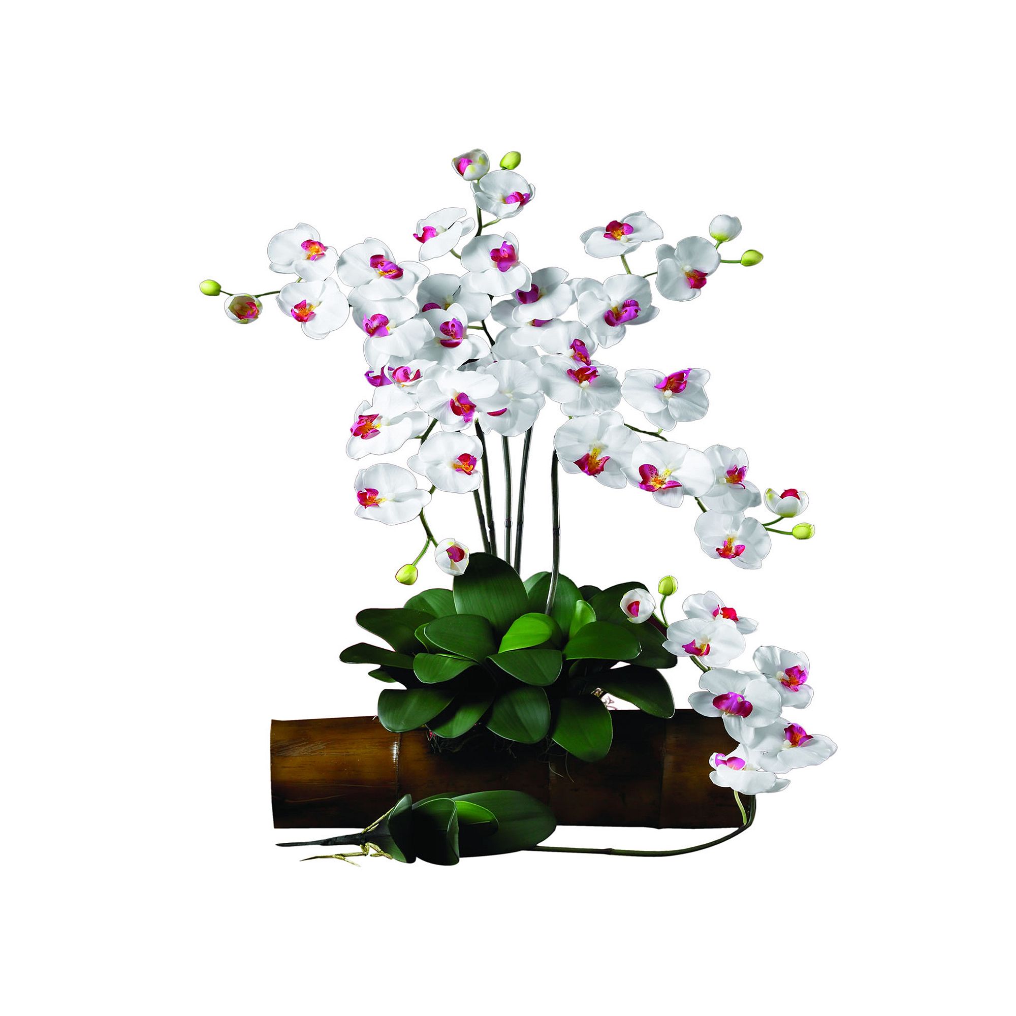 nearly natural 12-pc. Silk Phalaenopsis Stem Set, White