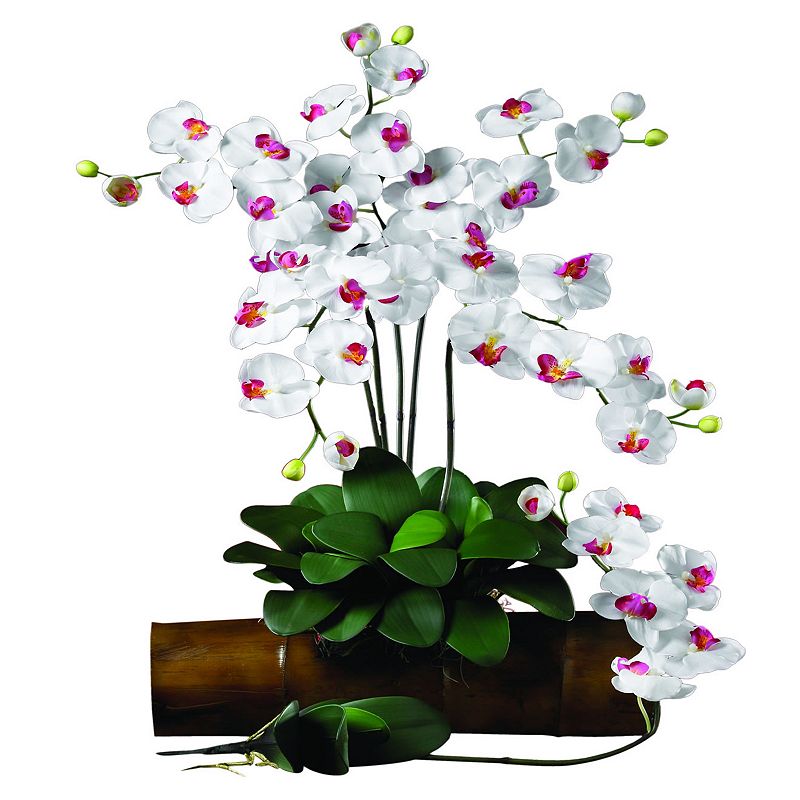 nearly natural 12-pc. Silk Phalaenopsis Stem Set, White Vibrant colors and lifelike textures add realism. Tall stems make a versatile decorative accent. Convenient twelve-pack provides numerous options. 12-piece set 31 1/2-in. height (each) Polyester/iron wire Wipe clean  Size: One Size. Color: White. Gender: unisex. Age Group: adult. Material: silk.