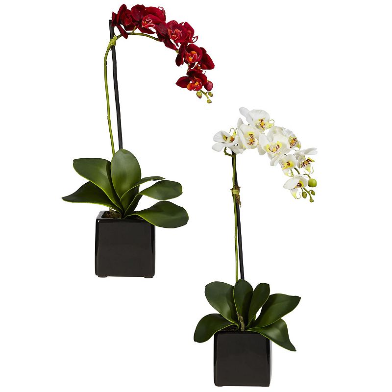 nearly natural 2-pc. Silk Phaleanopsis Orchid Floral Arrangement Set, Red
