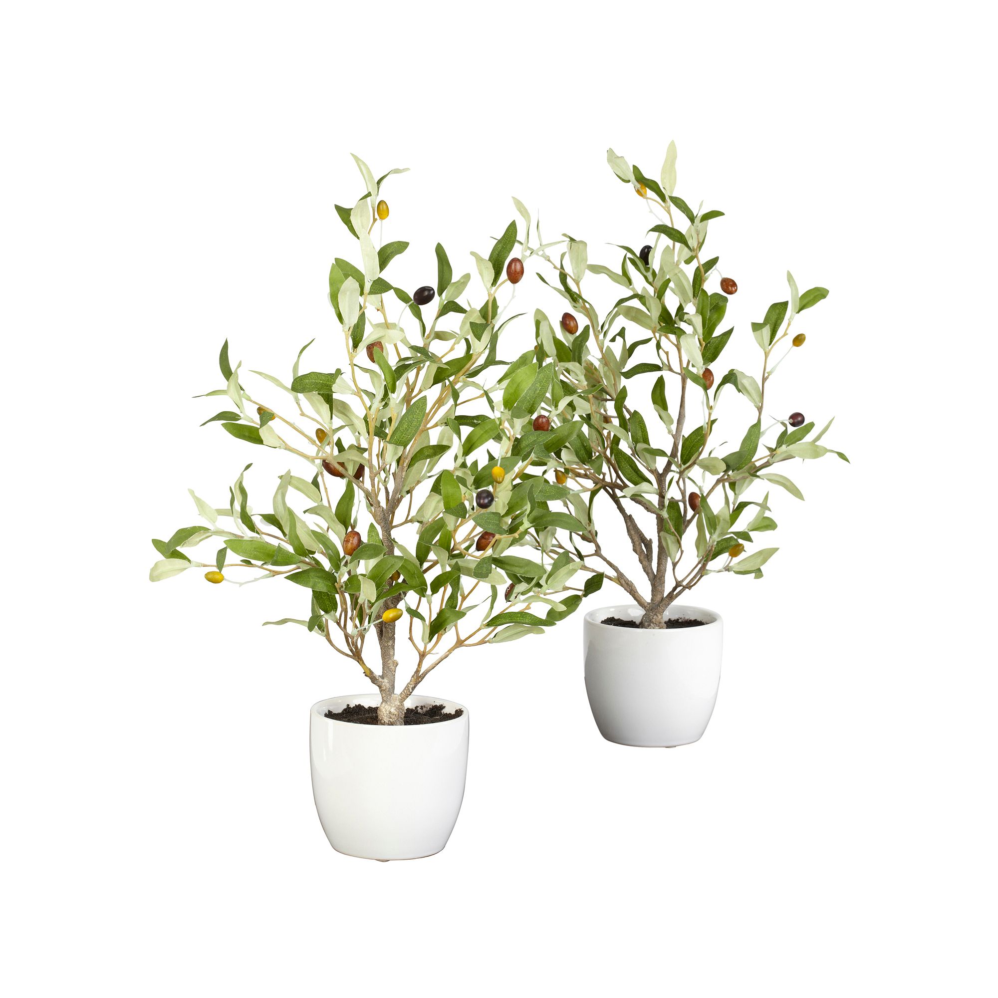 nearly natural 2-pc. Silk Olive Tree Set, Green