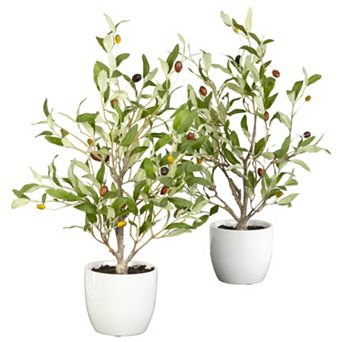 nearly natural 2 pc Silk Olive Tree Set