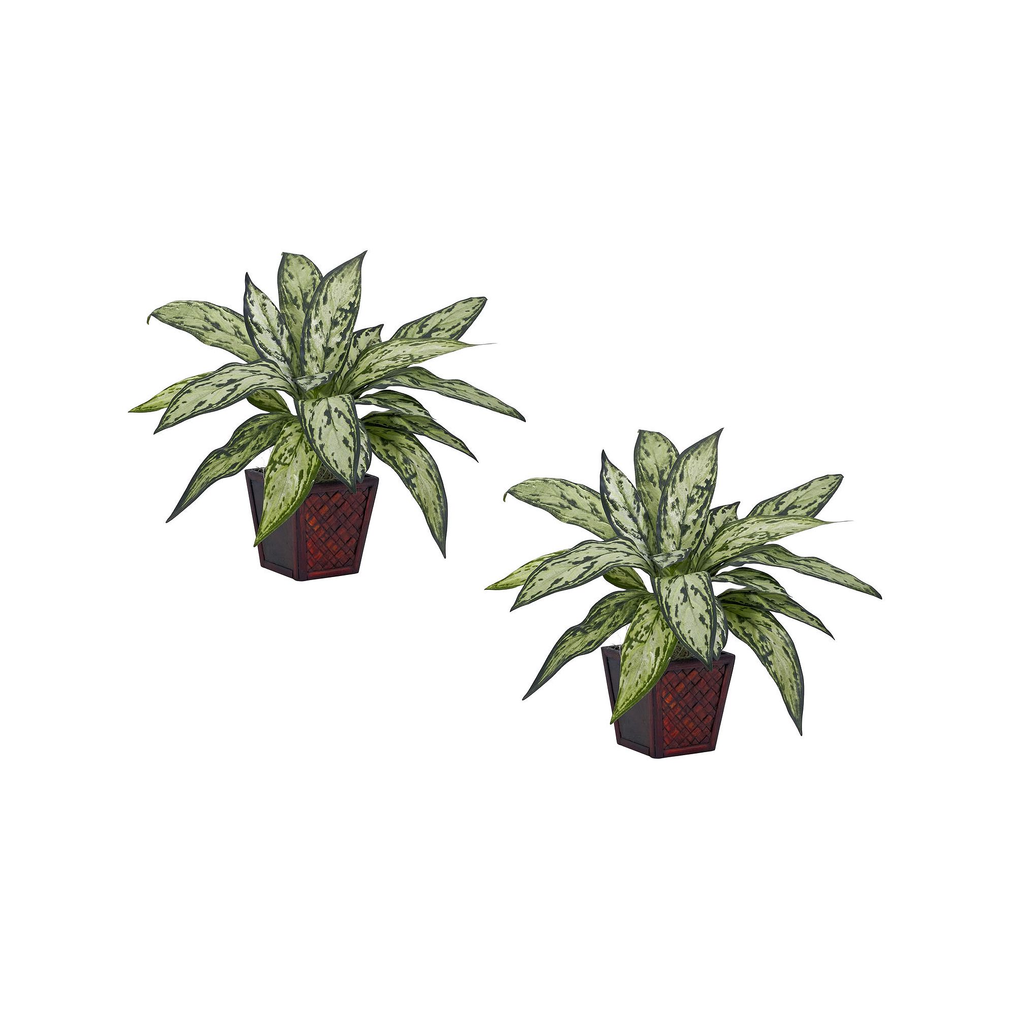 nearly natural 2-pc. Silk Silver Queen Potted Plant Set, Green