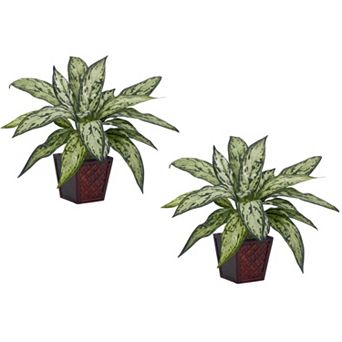 nearly natural 2 pc Silk Silver Queen Potted Plant Set
