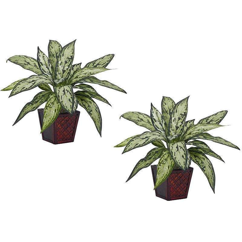 nearly natural 2-pc. Silk Silver Queen Potted Plant Set, Green