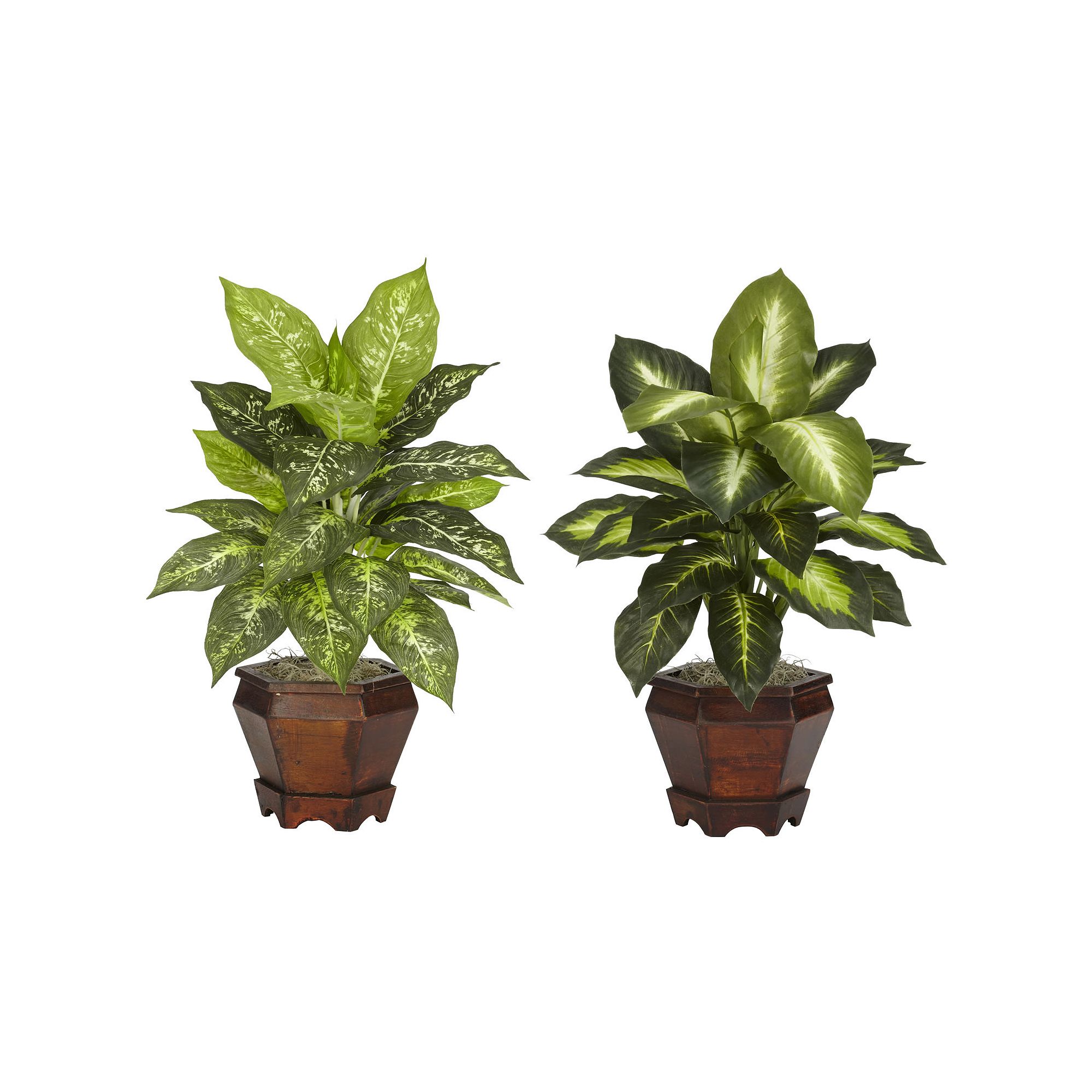 nearly natural 2-pc. Silk Dieffenbachia Potted Plant Set, Green