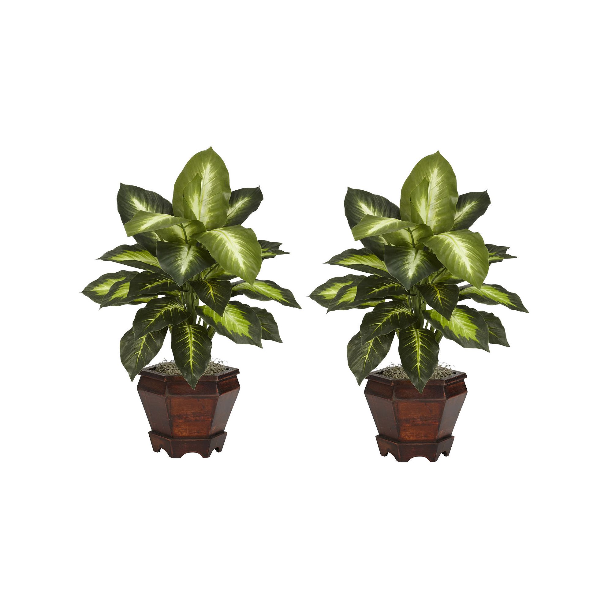 nearly natural 2-pc. Silk Dieffenbachia Potted Plant Set, Golden