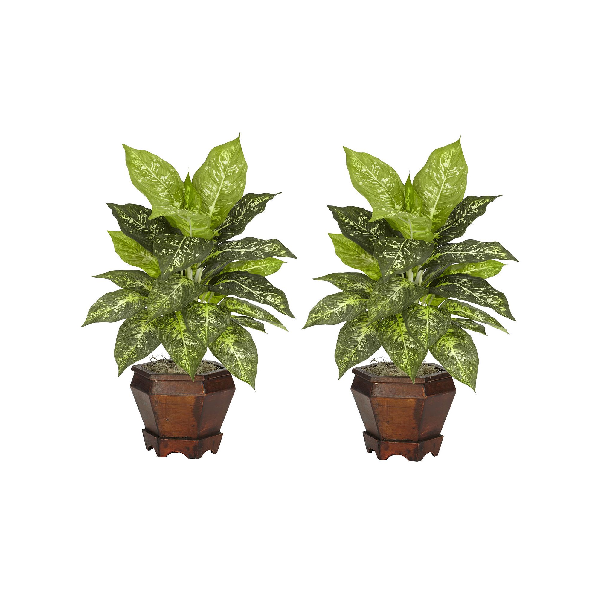 nearly natural 2-pc. Silk Dieffenbachia Potted Plant Set, Green