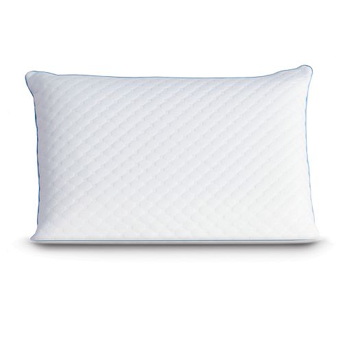 Sealy Memory Foam Standard Pillow