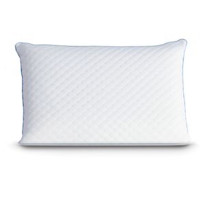 Sealy Memory Foam Standard Pillow