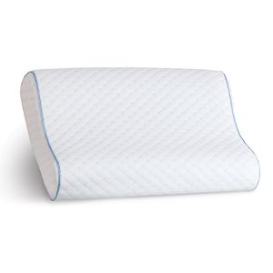 Sealy Memory Foam Contour Pillow