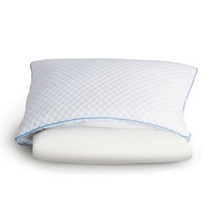 Sealy Memory Foam & Down-Alternative Pillow